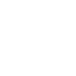 Flow Agency